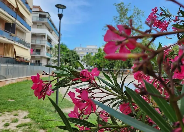 Апартаменты Casetta Lungomare Пескара